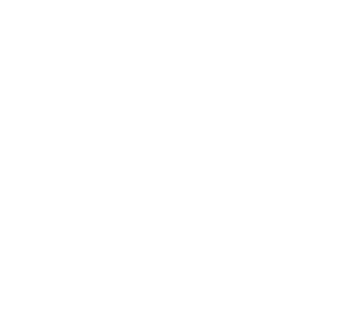 Licensed Building Practitioners Logo