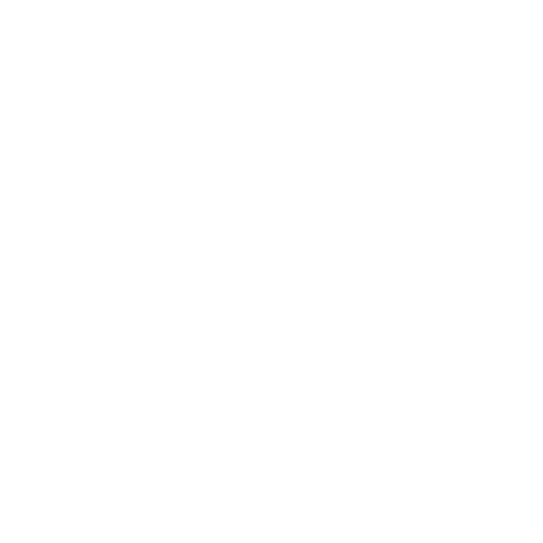 Speech Bubble Icon